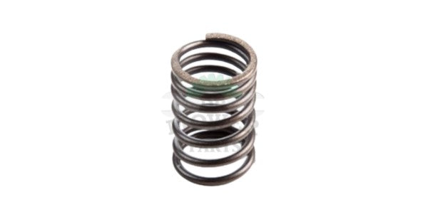 260552 Briggs and Stratton Valve Spring 690520