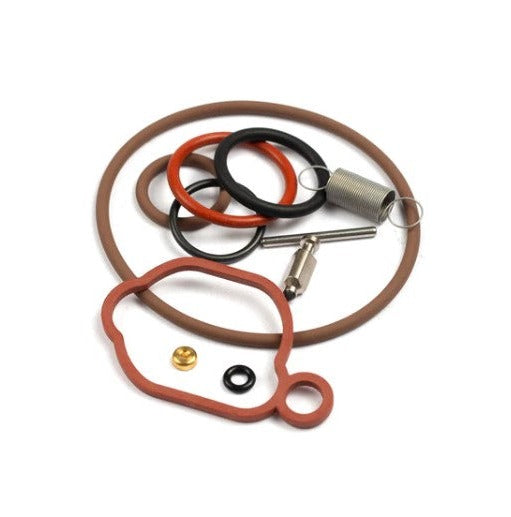 590589 Briggs & Stratton Overhaul Carb Kit