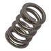 6.964-002.0 Karcher Spring