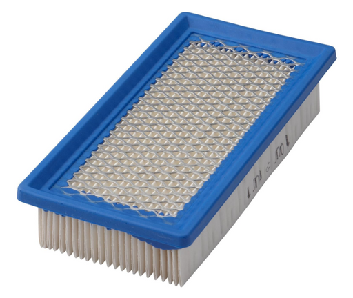 691643 Briggs and Stratton Air Filter