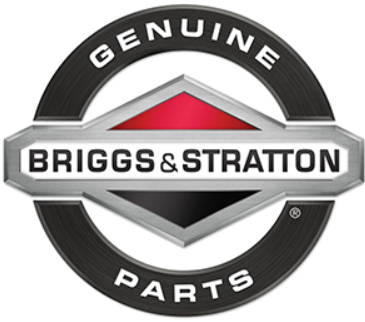 294628 Briggs and Stratton BREAKER IGNITION