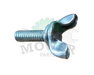 604213 Lawn Boy Wing Screw | DRMower.ca