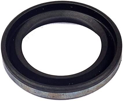 299819S Briggs and Stratton Oil Seal 89660 Magneto Side 299819