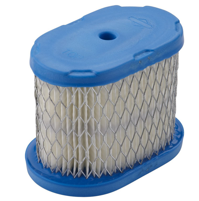 697029 Briggs and Stratton Air Filter 690610