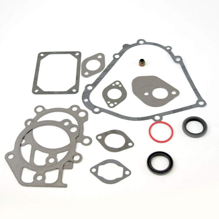 795201 Briggs & Stratton Engine Gasket Set